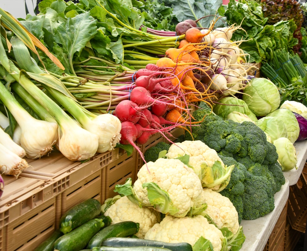 Vitamina B12 em alimentos vegetais